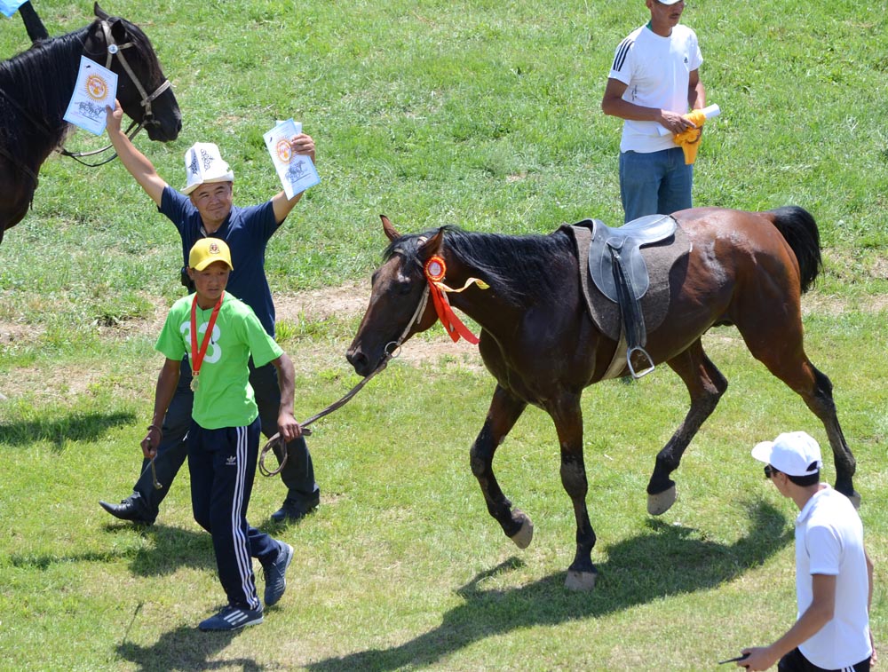 v-cholponate-proshli-konnosportivnye-igry_5