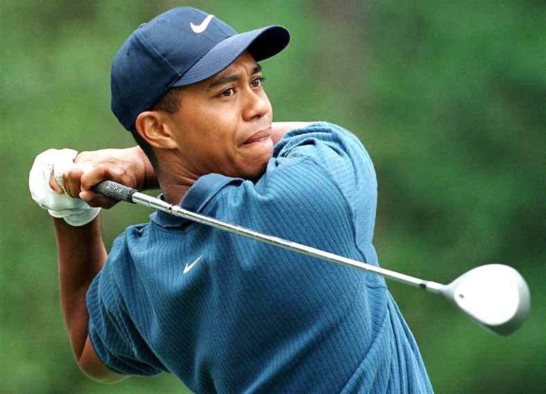 vzlet-i-padenie-tajgera-vudsa