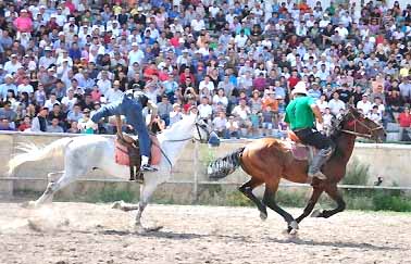 rodeo_1