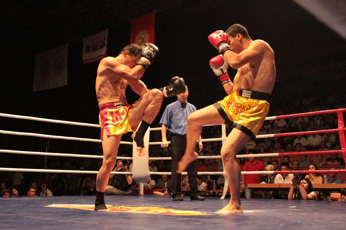 52-v-polzu-kyrgyzstana_9