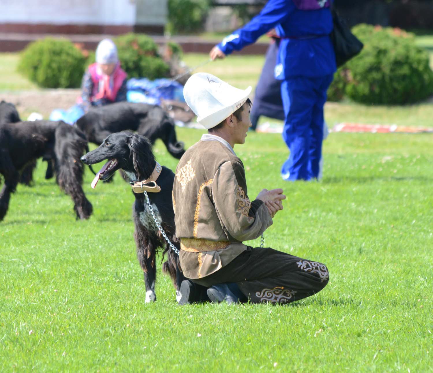 salbuurun-vzjal-start_2