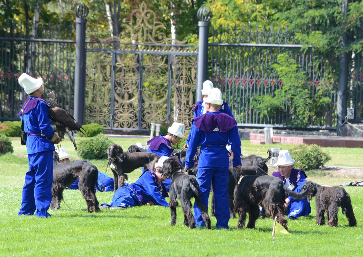 salbuurun-vzjal-start_5