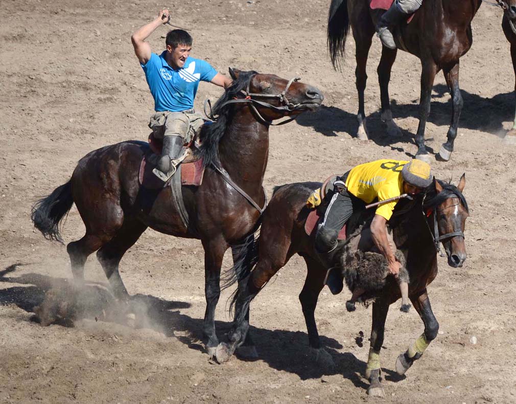 suusamyr--chempion-na-million