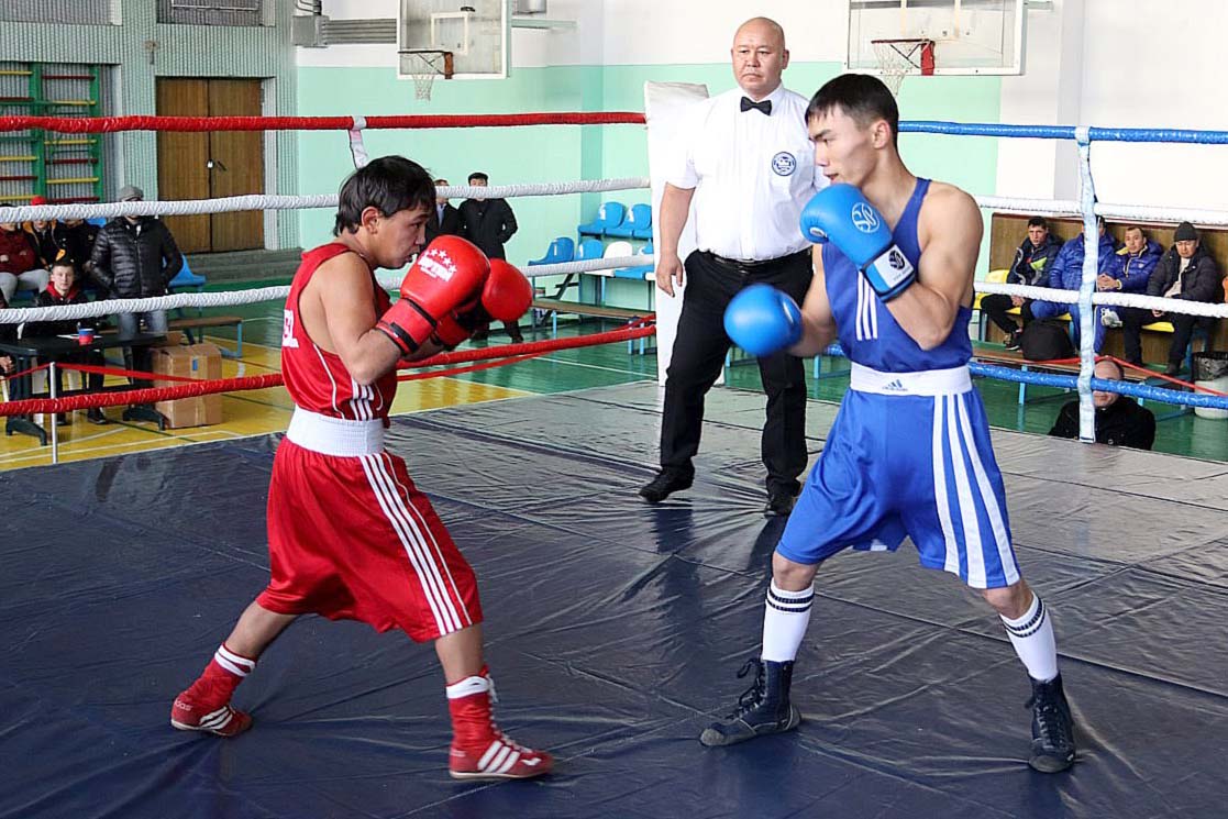 Чемпионат Кыргызстана по боксу