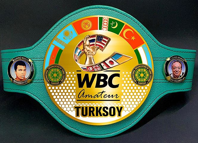 Тюркские страны учредили свой турнир по боксу