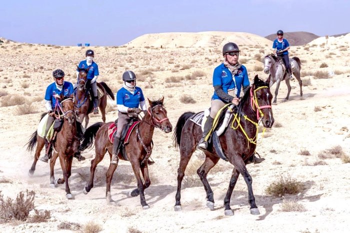 В Кыргызстане пройдет международное конное ралли Gallops
