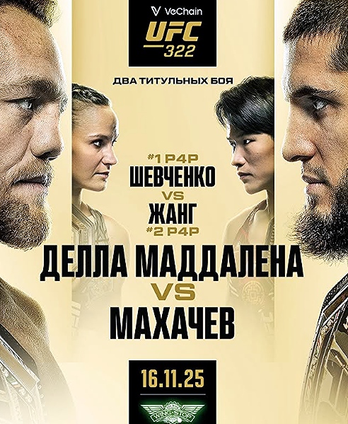 UFC официально представил постер боя Чжан - Шевченко