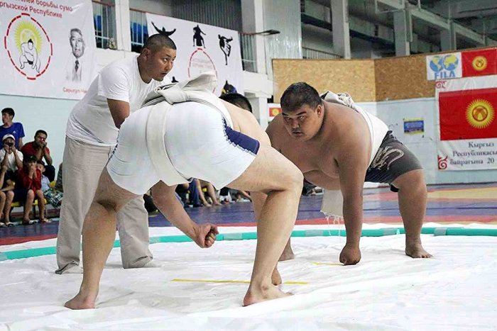 В Бишкеке пройдет турнир по сумо