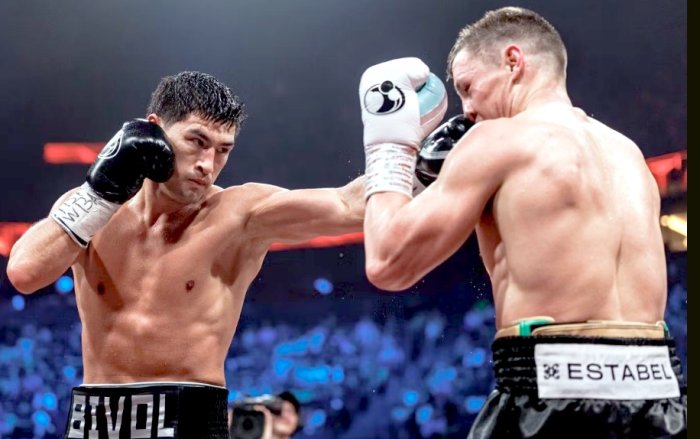 WBO обязала Дмитрия Бивола провести титульный бой